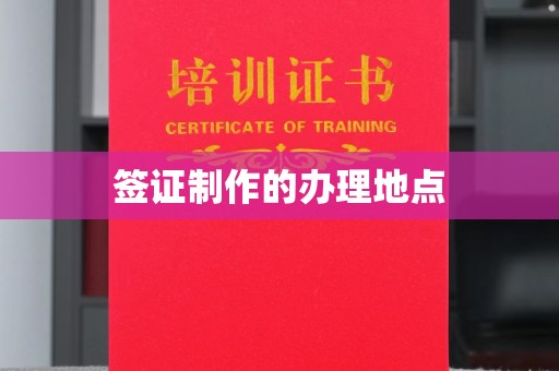 环翠签证制作的办理地点