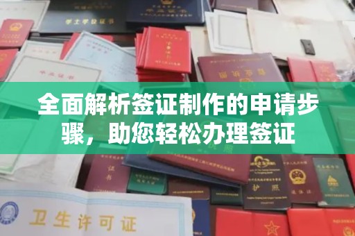 环翠全面解析签证制作的申请步骤，助您轻松办理签证