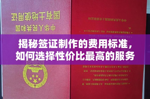环翠揭秘签证制作的费用标准，如何选择性价比最高的服务？