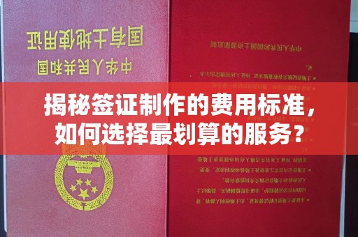 环翠揭秘签证制作的费用标准，如何选择最划算的服务？