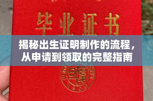 环翠揭秘出生证明制作的流程，从申请到领取的完整指南