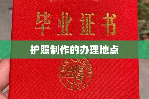 环翠护照制作的办理地点