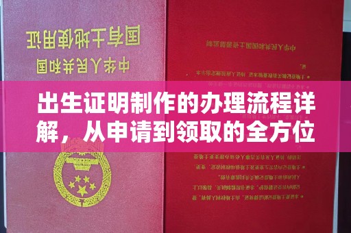 环翠出生证明制作的办理流程详解，从申请到领取的全方位指南